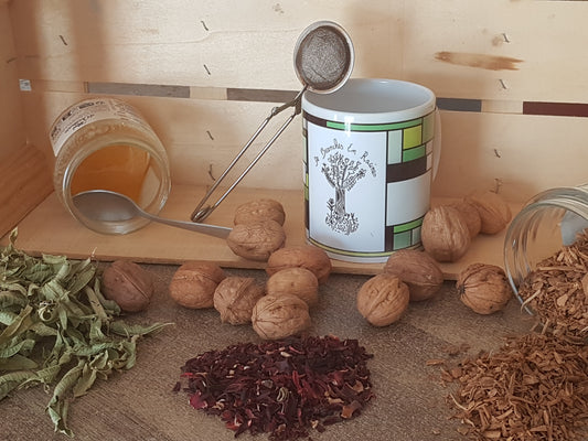 Mon cheminement dans le monde des plantes : d'inconnu à 3 infusions par jour