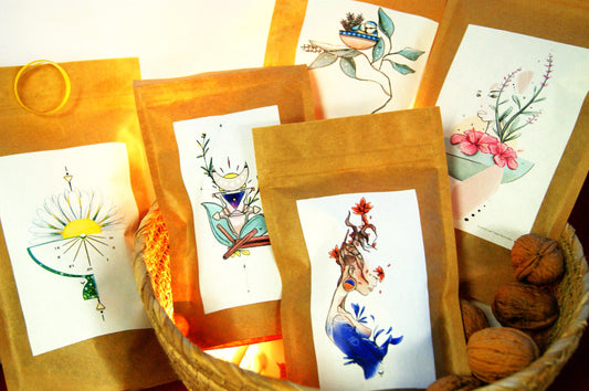 Pack Decouverte ++